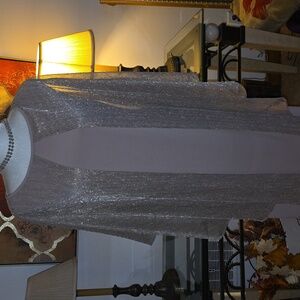 Elegant Sheer Overlay Dress